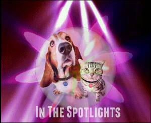 an in the spotlights gift